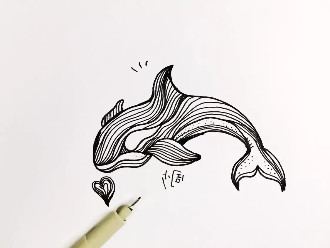 手把手教你画海豚简笔画，步骤详细，一学就会！